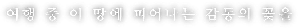 여행 중 이 땅에 피어나는 감동의 꽃을