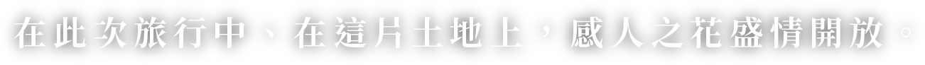 在此次旅行中、在這片土地上，感人之花盛情開放。