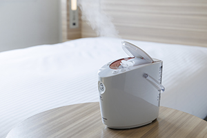 イメージ:貸出品