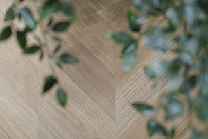 イメージ:コージーリビング