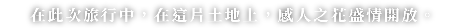 在此次旅行中，在這片土地上，感人之花盛情開放。