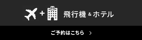 JR九州ホテルズの航空券付宿泊プラン