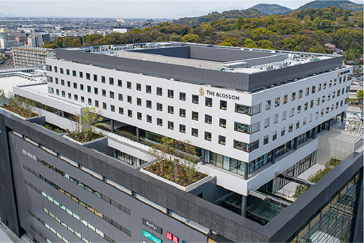 THE BLOSSOM KUMAMOTO